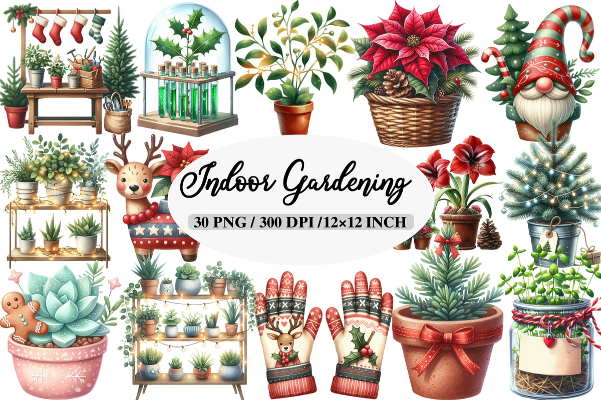 Christmas Indoor Gardening Clipart, an Illustration by Daily.Designs (Photo 1 of 5)