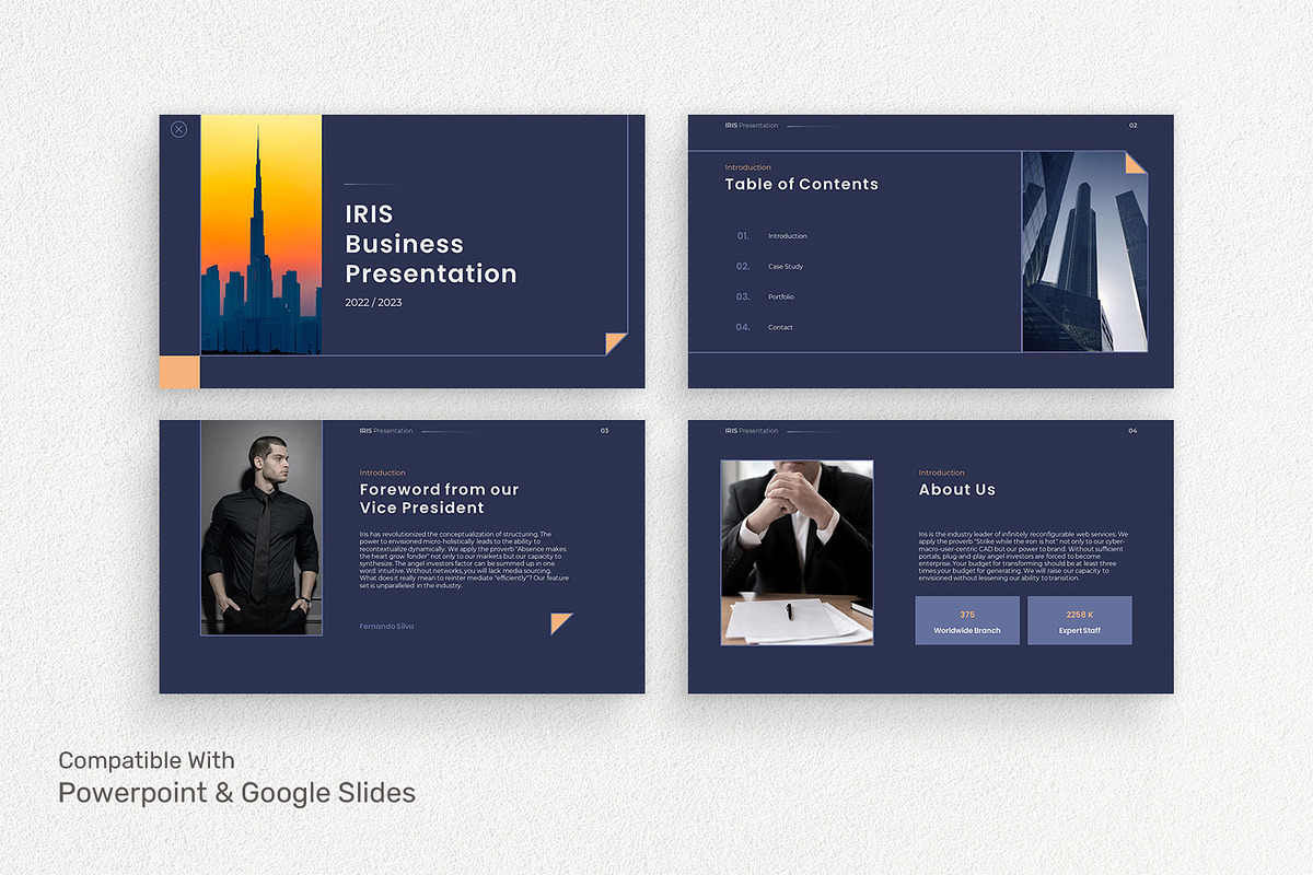 Iris - Business Presentation, a Presentation Template by Birka Studio (Photo 4 of 4)