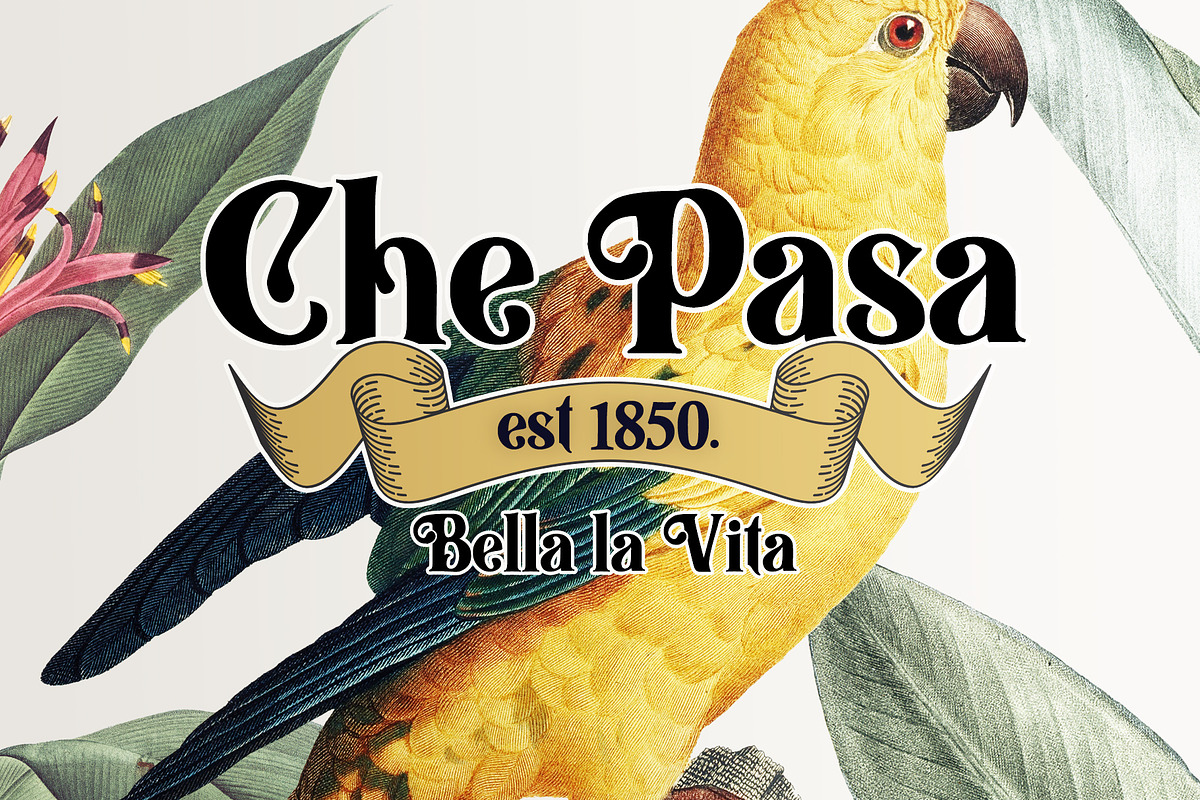 Praline Amaretto - Vintage Font, a Serif Font by Layerform Design Co. (Photo 3 of 5)