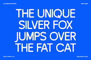 CS Gisborne Drawn, a Sans Serif Font by Craft Supply Co. (Thumbnail 7 of 8)