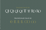 Rose Velt, a Serif Font by ilhamtaro (Thumbnail 9 of 9)