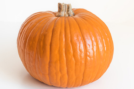Small orange pumpkin isolated on whi featuring pumpkin, background, and