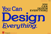 Temporis - Serif Font Family, a Serif Font by Artistic & Unique (Thumbnail 11 of 13)