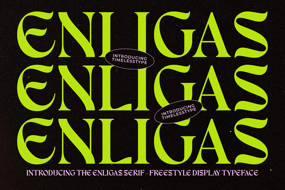 Enligas Modern Serif Display Font, a Serif Font by timelesstype.co (Photo 9 of 15)