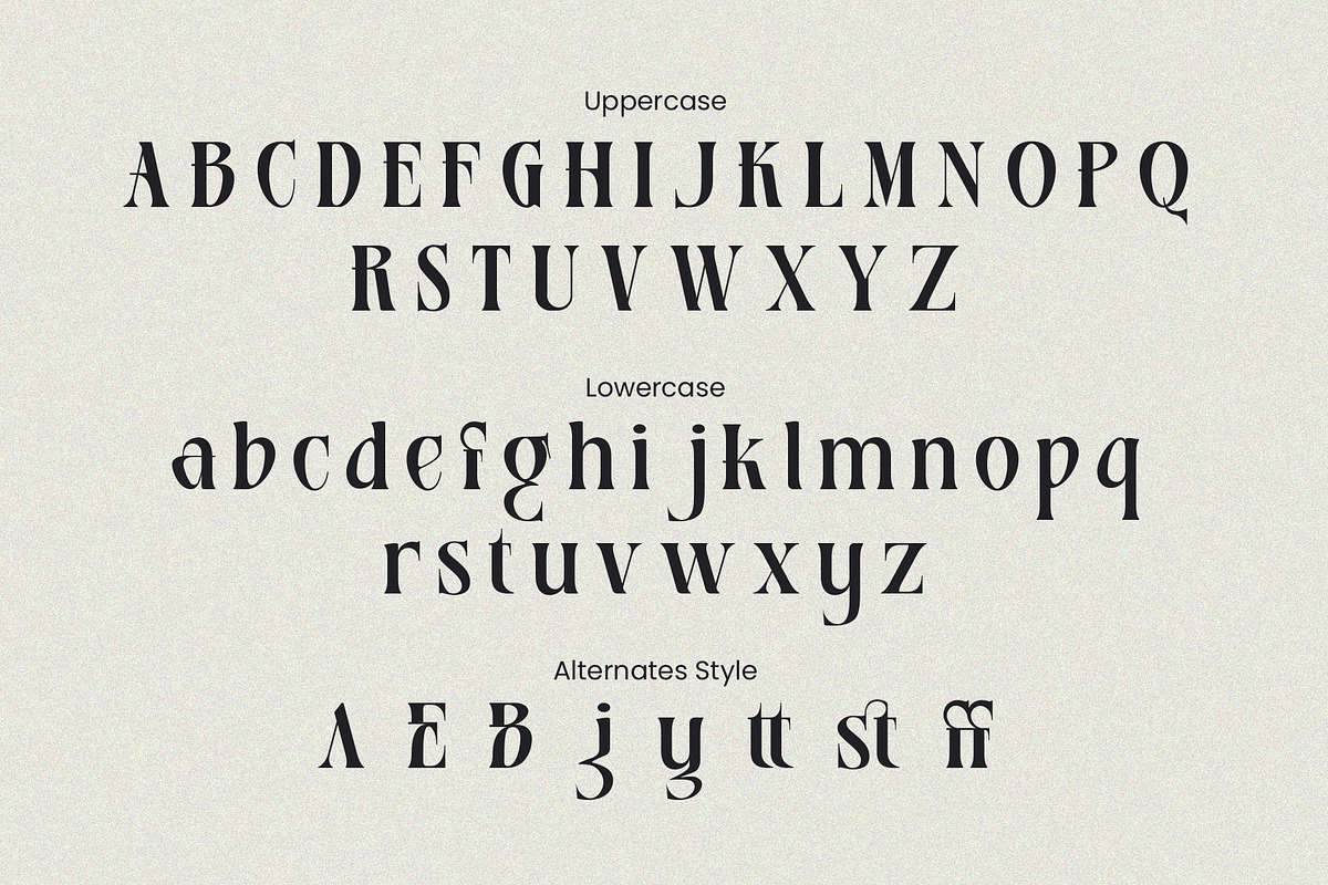 Basurist - Unique Modern Serif Bold, a Serif Font by Nokturnal13 (Photo 4 of 14)