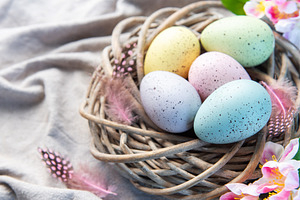Pastel easter eggs in rustic wicker nest, a Holiday Photo by Olena Rudo