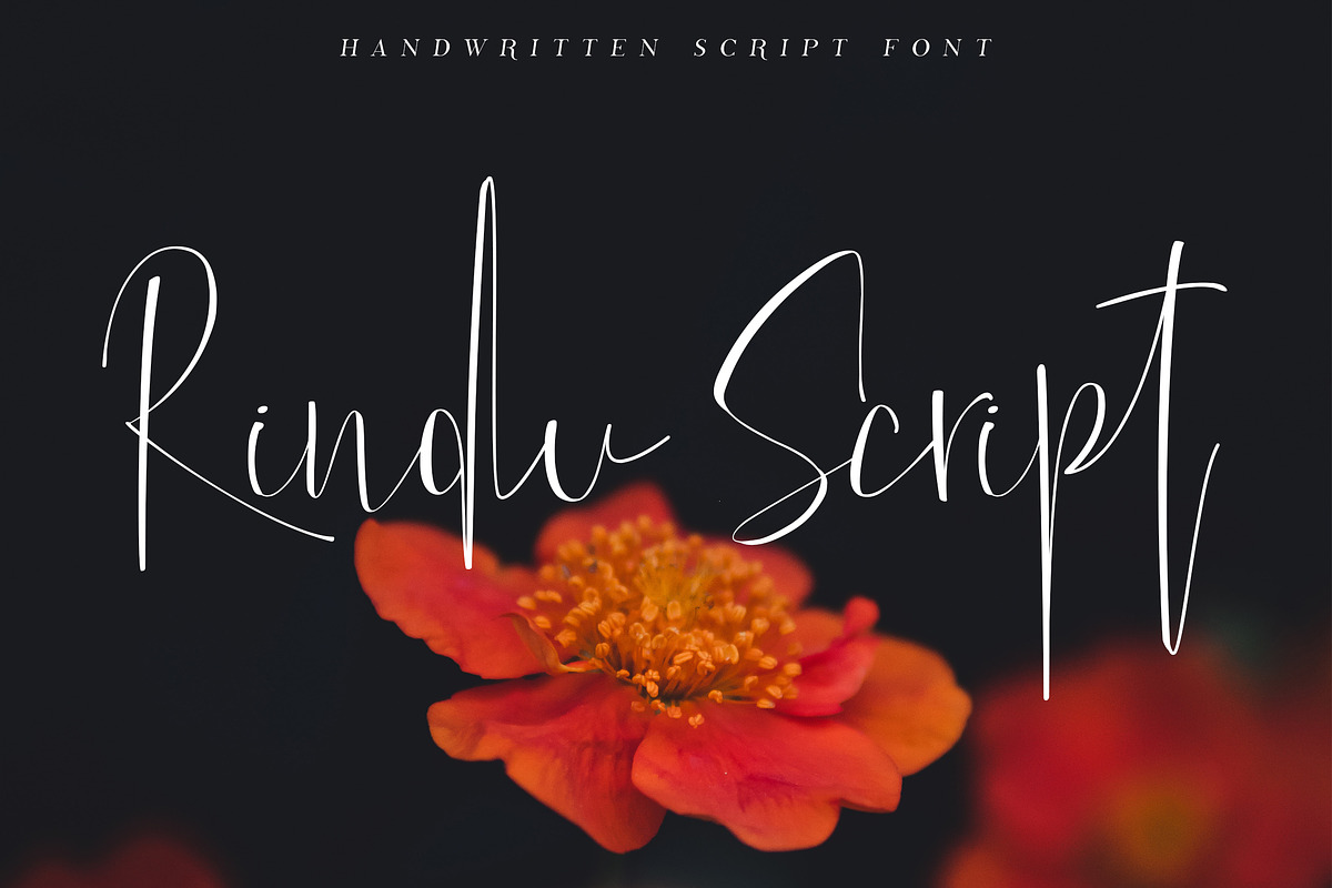 Rindu Script, a Script Font by Suhandi (Photo 1 of 4)