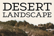 Cendrich - Slab Serif Font, a Slab Serif Font by Tiga Type (Thumbnail 2 of 10)