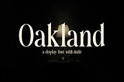 Oakland, a Serif Font by InkwellTypeCo (Thumbnail 1 of 10)
