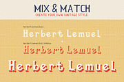 Herbert Lemuel Script, a Sans Serif Font by BlueRobinDesignShop (Thumbnail 12 of 13)