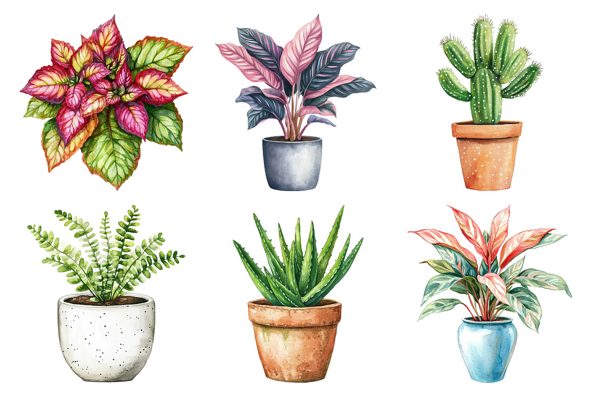 Watercolor Home Plants Clipart, an Illustration by Daily.Designs (Photo 3 of 5)