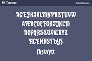 Tenebrae Gothic Horror Fantasy Font, a Blackletter Font by Paper Moon Graphic Supply (Thumbnail 6 of 8)