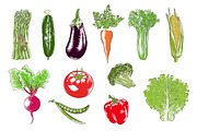 Collection of hand-drawn vegetables, a Food Illustration by Akimo Mia (Thumbnail 3 of 5)