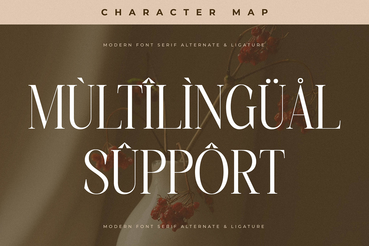 Charthe Modern Font Serif, a Serif Font by Storytype Studio (Photo 12 of 15)
