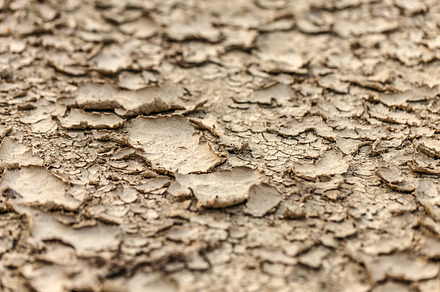 Dry ground background, an Abstract Photo by Grafvision photography