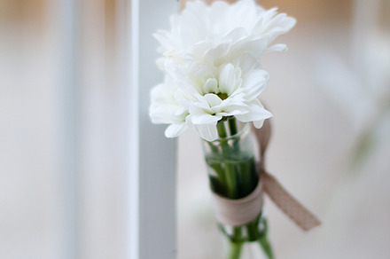 Wedding molfetta stock photo preview 6