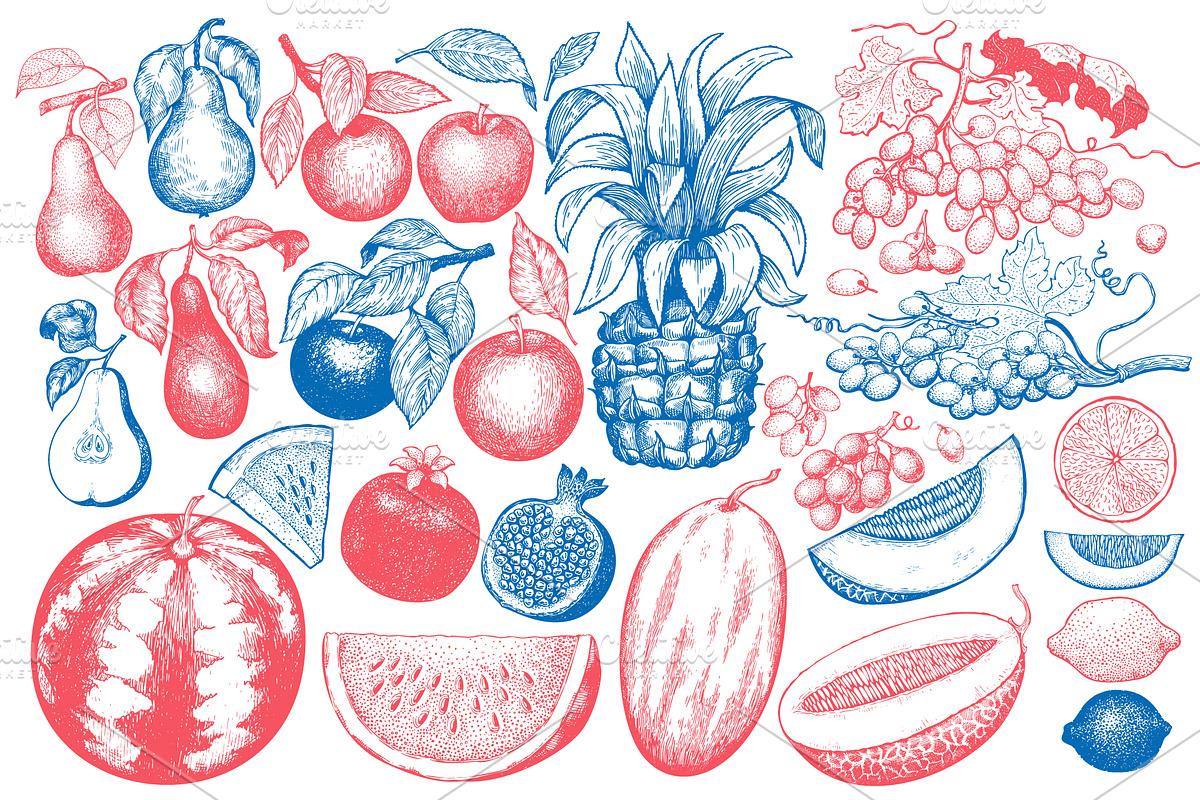 Fruits&Berries Vector Collection, a Food Illustration by Lubov Illustrations Shop (Photo 2 of 6)