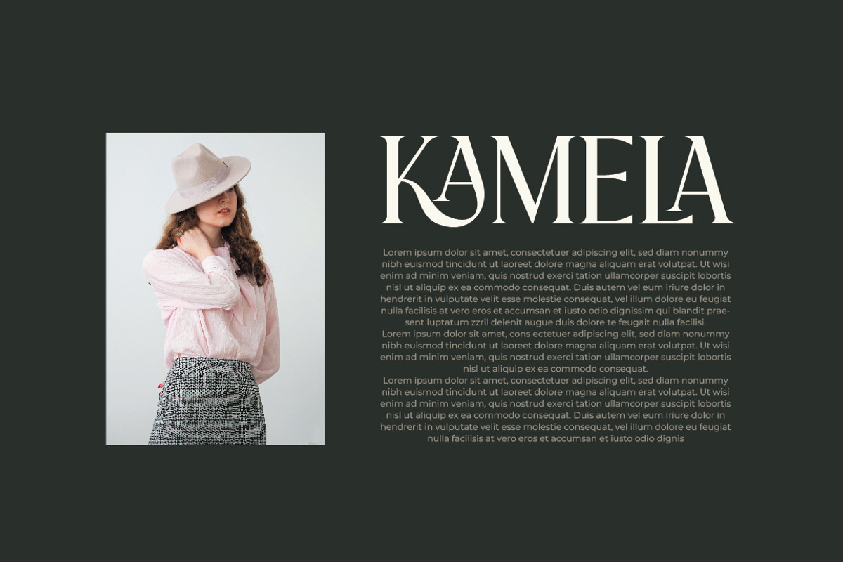 Praise Elegant Stylish Font, a Serif Font by Typebae (Photo 8 of 12)