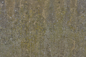Wall Texture + Tileable Version