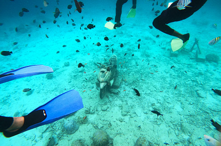 Snorkeling Adventure with Fish