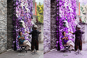 30 Magic Mauve Photoshop Collection, an Action Add-On by 3Motional (Thumbnail 9 of 11)