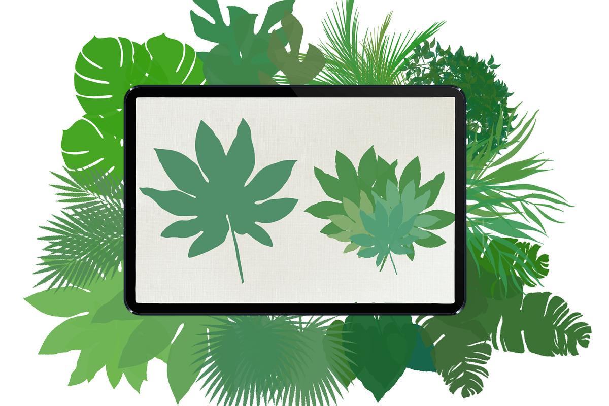 Palm leaves brushes for Procreate, a Brush Add-On by AnastasiyaOleynik (Photo 6 of 12)