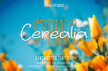 Cerealia Spring Handwritten Font Duo