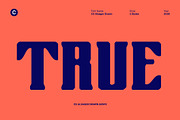 CS Alsager Drawn, a Serif Font by Craft Supply Co. (Thumbnail 2 of 8)