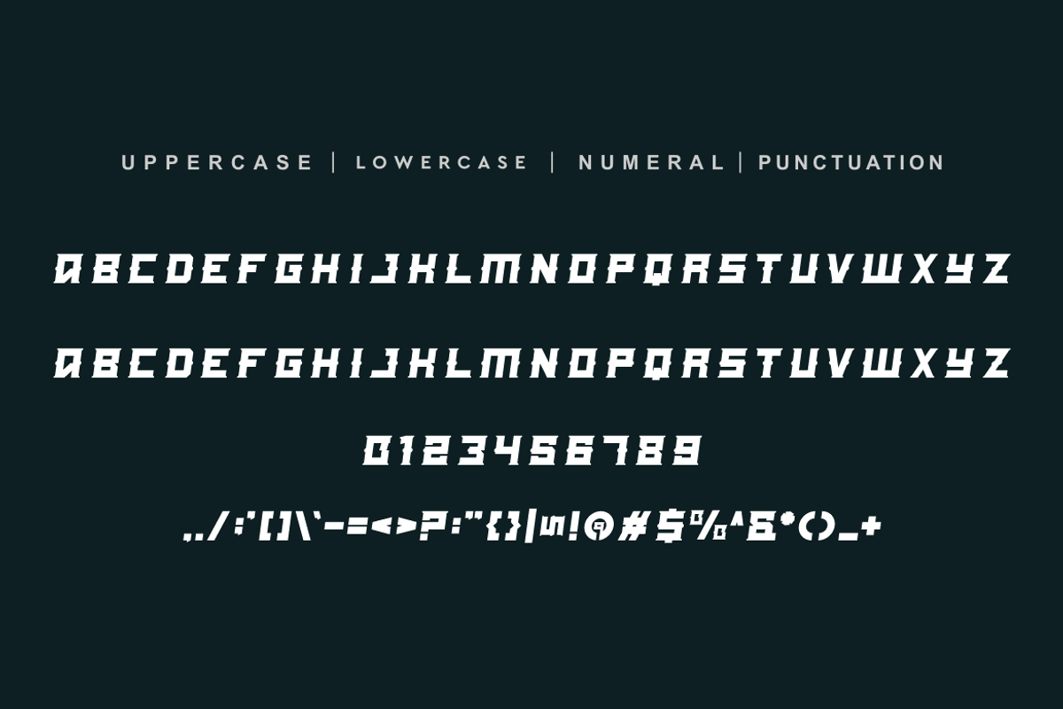 Ganzed - Italic & Sport Font Duo, a Serif Font by QR Design Studio (Photo 7 of 8)