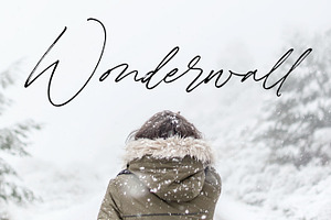 Winterlady- Beautiful Script Font