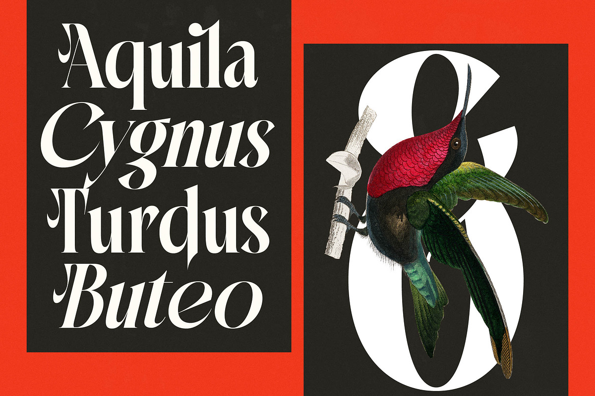 Mactge Modern Serif Display Font, a Serif Font by timelesstype.co (Photo 5 of 20)