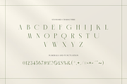 Slightly - Elegant Display Serif, a Serif Font by RockboyStd (Thumbnail 9 of 12)
