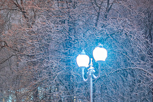 Glowing street lantern in snowy winter park at night, magical fe, a Photo by Pictures for you!!!!!!!!!