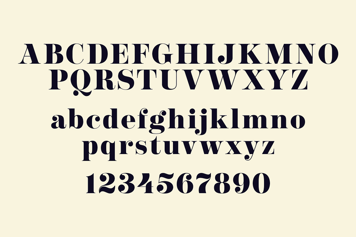 NT Josefine, a Serif Font by nevsky.type (Photo 5 of 15)