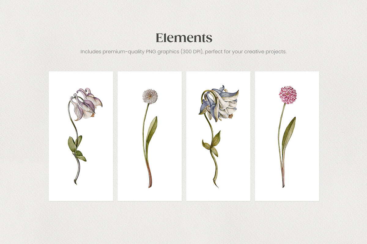 Eternal Bloom Elegant Floral Pattern, a Pattern Graphic by Yello_illustration (Photo 5 of 14)