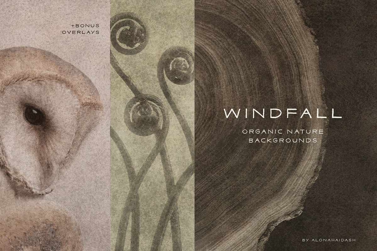Windfall Organic Nature Backgrounds, a Background Graphic by alonahaidash (Photo 1 of 14)