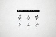 60 Flower and Floral Icons - Vol 2, an Outline Icon by Hatch Design Workshop (Thumbnail 8 of 10)