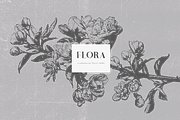 Bogota Handwritten Font, a Serif Font by Studio.lize (Thumbnail 3 of 7)