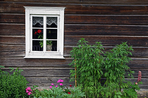 Rural house and flowerbed, an Architecture Photo by BOOCYS