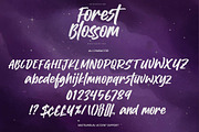 Forrest Blossom – Quick Brush Font, a Handwritten Font by Gassstype (Thumbnail 6 of 8)