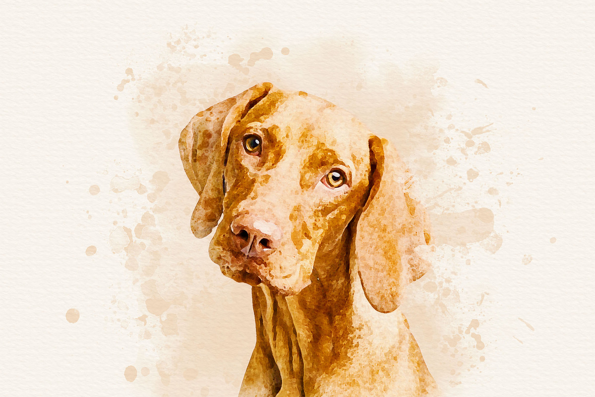 Pet Watercolor Effect Photoshop, an Action Add-On by liptouse (Photo 10 of 10)