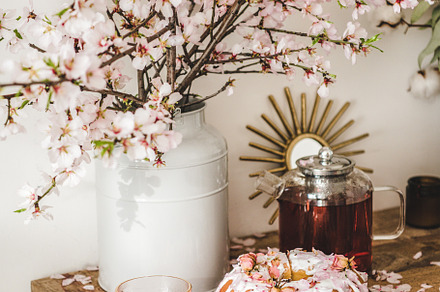 Gluten free bundt cake and tea under containing food, drink, and cake, a Food & Drink Photo by Foxys