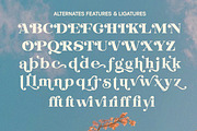 Evorine Stylish Serif, a Serif Font by Letterhend Studio (Thumbnail 9 of 11)
