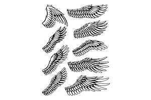Wings sketch collection, an Object Illustration by Things for designers