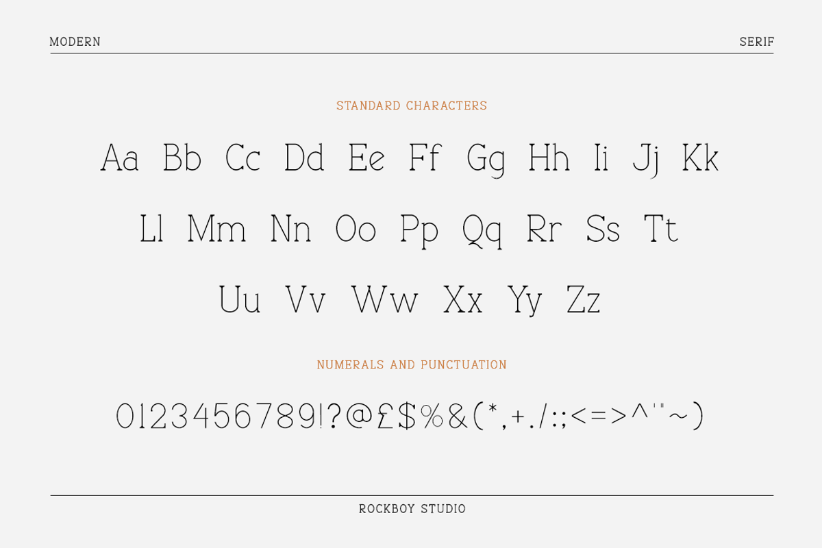 Blissful - Modern Stylish, a Serif Font by RockboyStd (Photo 10 of 12)