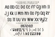 Delight Alphabet, a Serif Font by FreshTypeINK (Thumbnail 4 of 7)