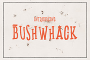 Bushwhack, a Font by vladderkach57 (Thumbnail 1 of 4)