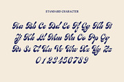 Birchside Script, a Script Font by Get Studio (Thumbnail 7 of 28)
