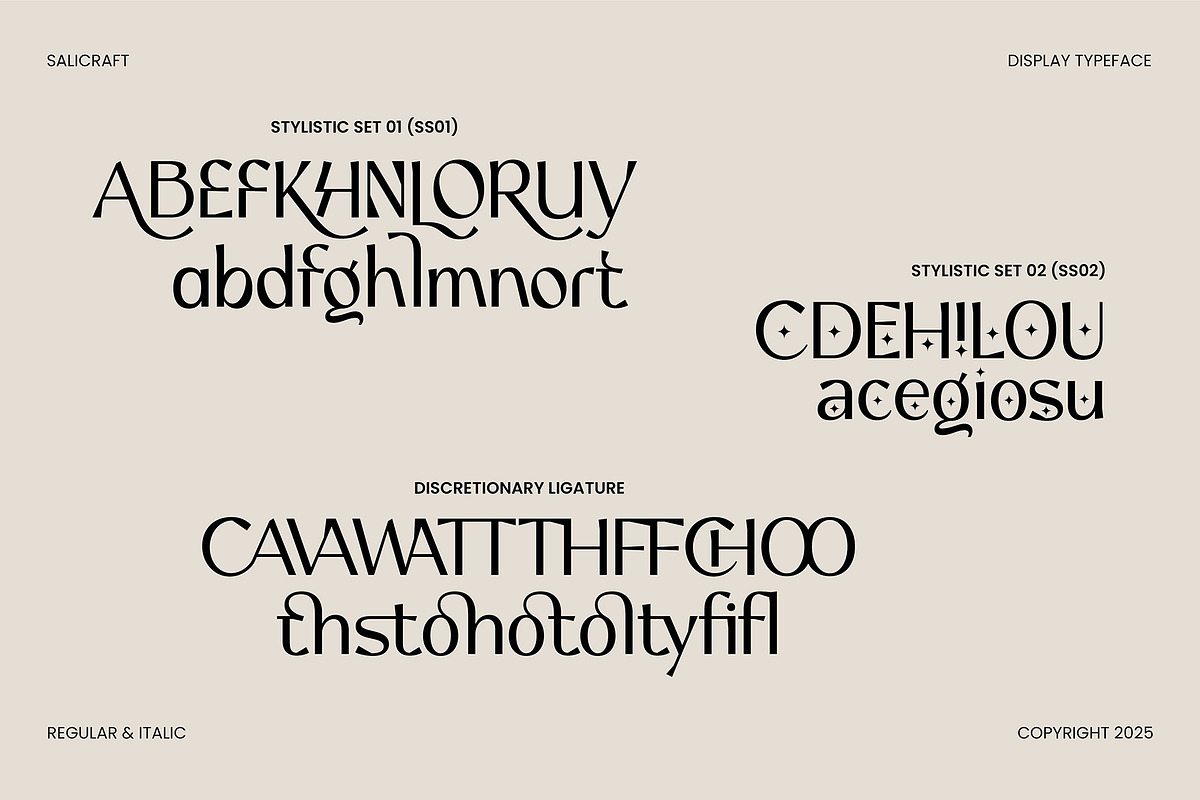Salicraft, a Serif Font by Gatype (Photo 4 of 10)