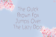 Sakura | Handwriting font, a Handwritten Font by LivelyAutumn11.11 (Thumbnail 4 of 6)